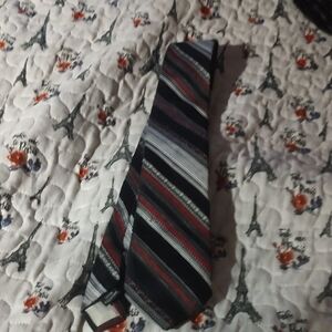 Elegant Striped Black and Red  Tie